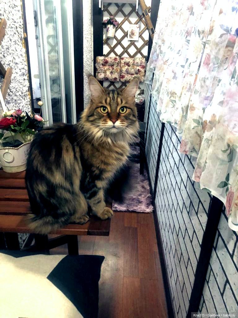 Пижамная вечеринка или для кого кроватки