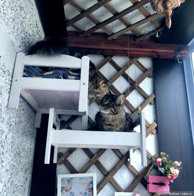 Пижамная вечеринка или для кого кроватки