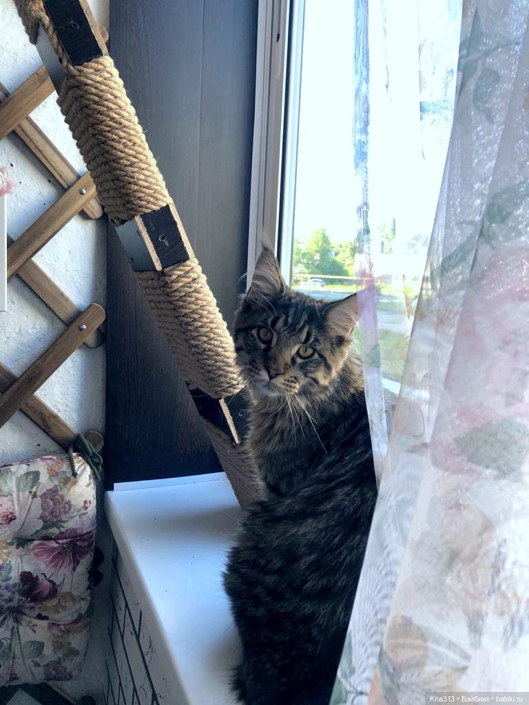 Пижамная вечеринка или для кого кроватки