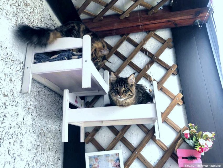 Пижамная вечеринка или для кого кроватки