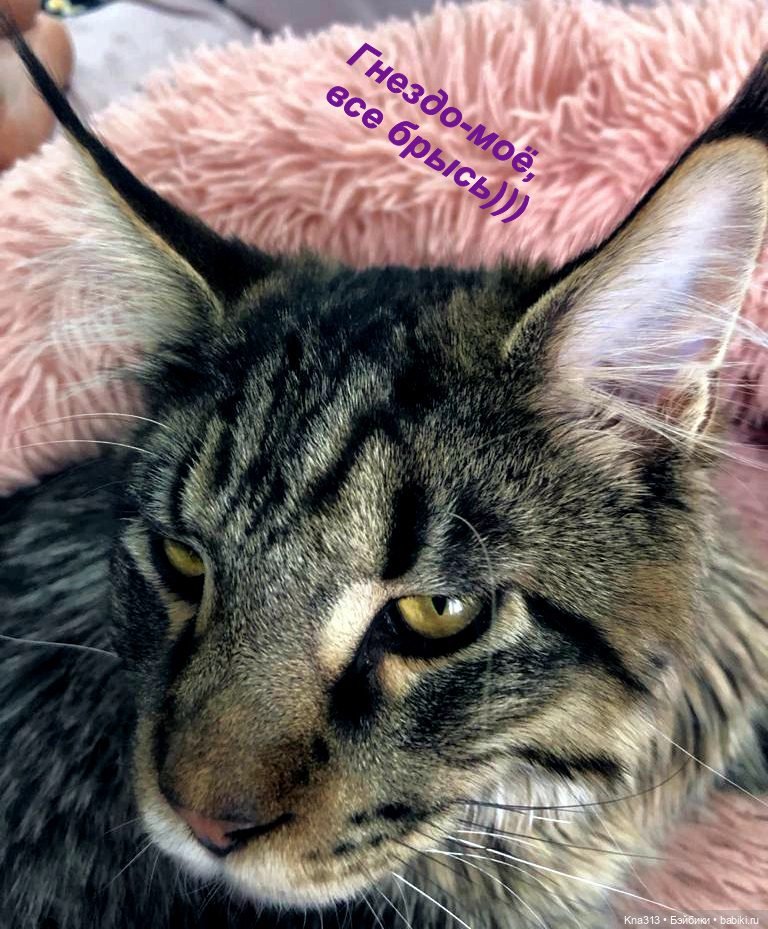 Пижамная вечеринка или для кого кроватки