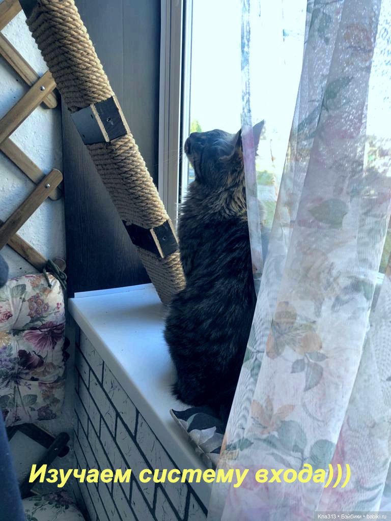 Пижамная вечеринка или для кого кроватки