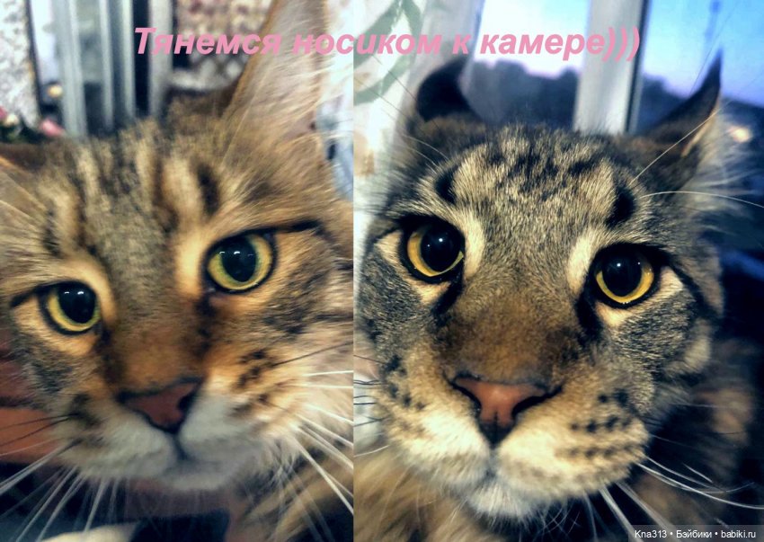 Пижамная вечеринка или для кого кроватки