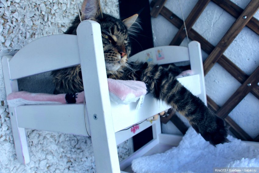 Пижамная вечеринка или для кого кроватки