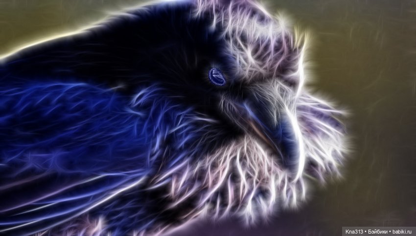 Ворон он тоже любит ласку и домашнее тепло | Бэйбики Ворон он тоже любит ласку и домашнее тепло