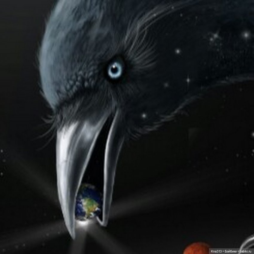Ворон он тоже любит ласку и домашнее тепло | Бэйбики Ворон он тоже любит ласку и домашнее тепло