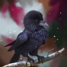 Ворон он тоже любит ласку и домашнее тепло