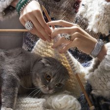 Принесите Валидол или итоги конкурса