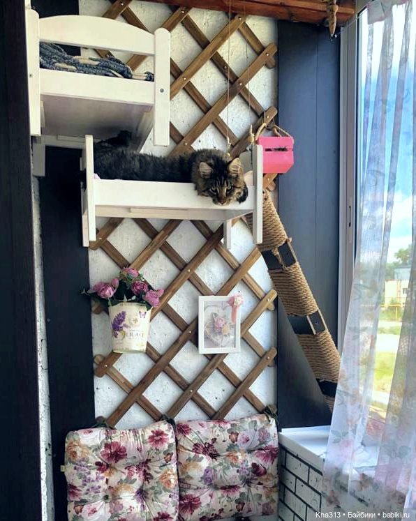 Сам ты Наташа — Болталка и разговоры обо всем: жизнь (фото 9)