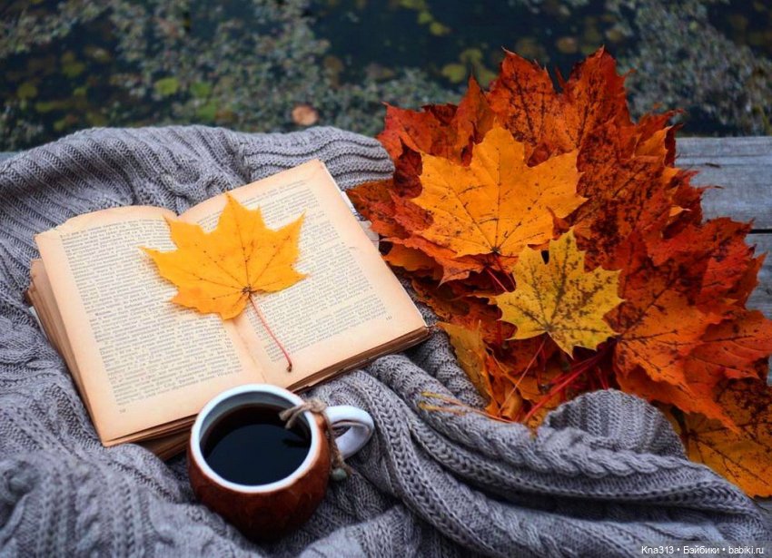 Сам ты Наташа — Болталка и разговоры обо всем: жизнь (фото 10)