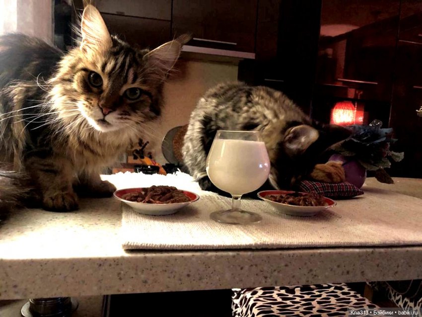 Сам ты Наташа — Болталка и разговоры обо всем: жизнь (фото 6)