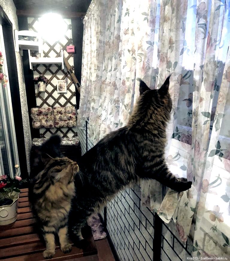 Сам ты Наташа — Болталка и разговоры обо всем: жизнь