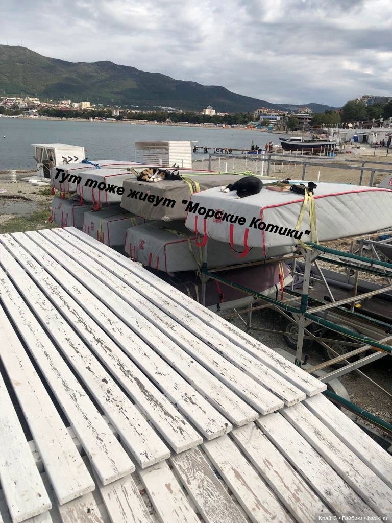 Фотозарисовки из отпуска. Продолжение