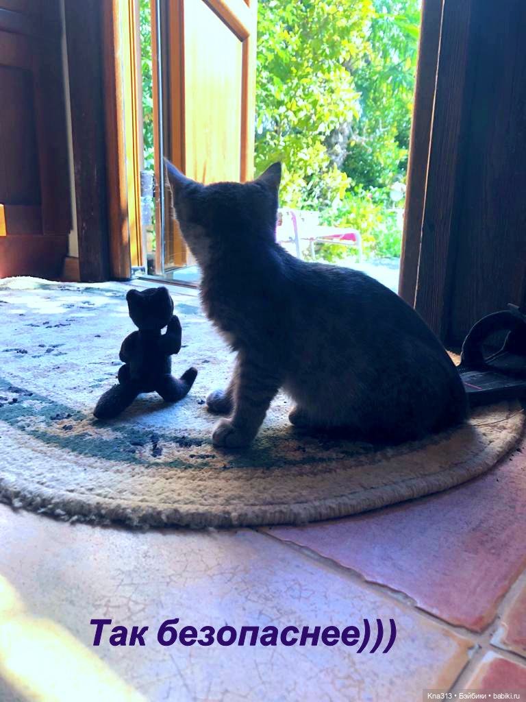 Фотозарисовки из отпуска. Продолжение (фото 10)