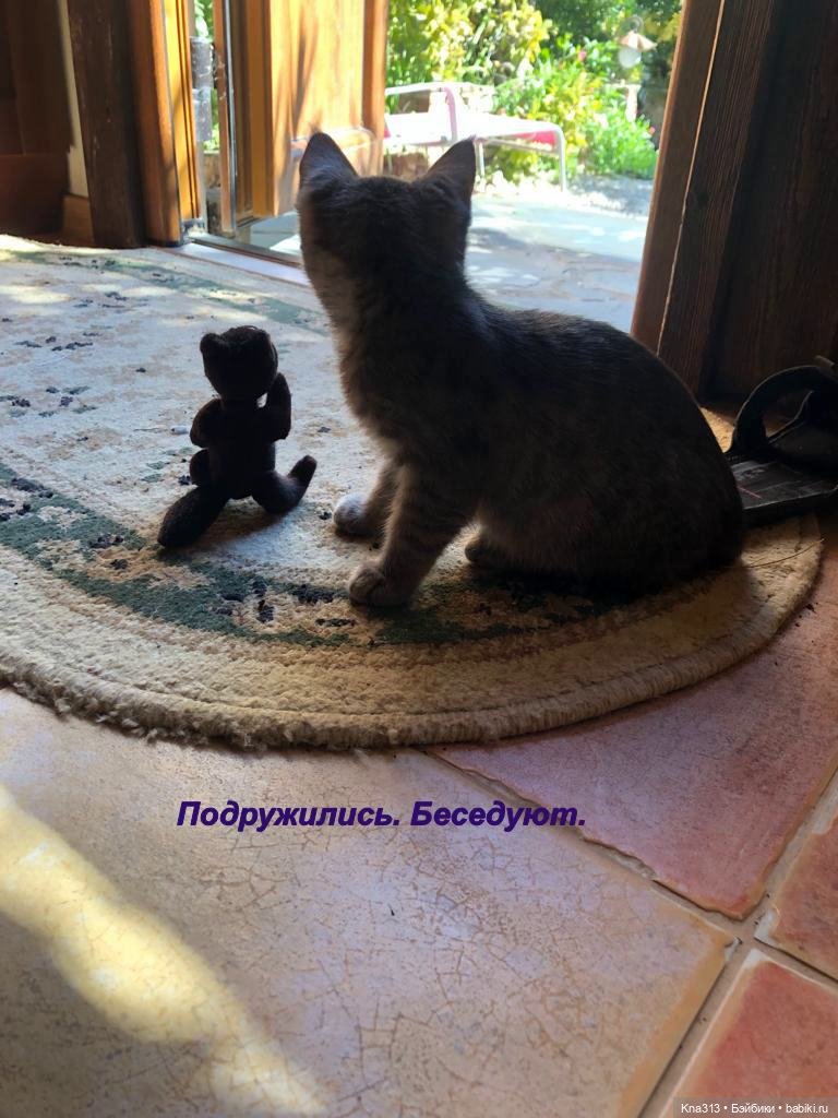 Фотозарисовки из отпуска. Продолжение