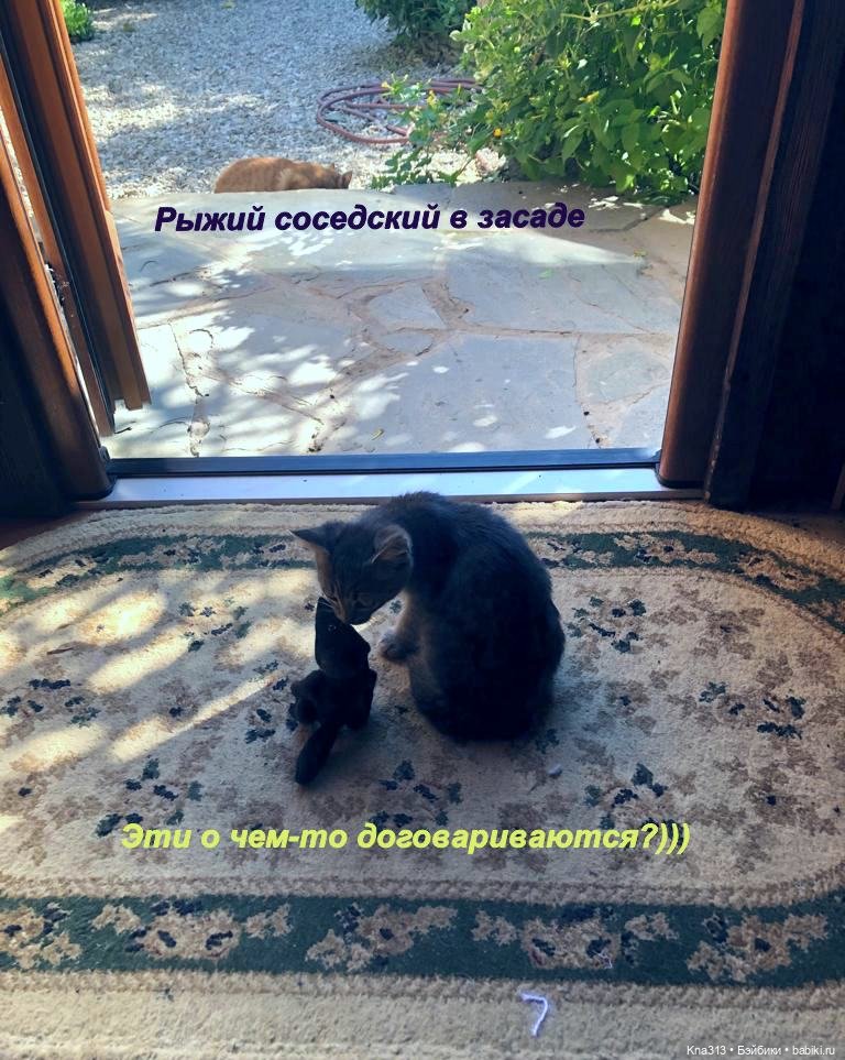 Фотозарисовки из отпуска. Продолжение