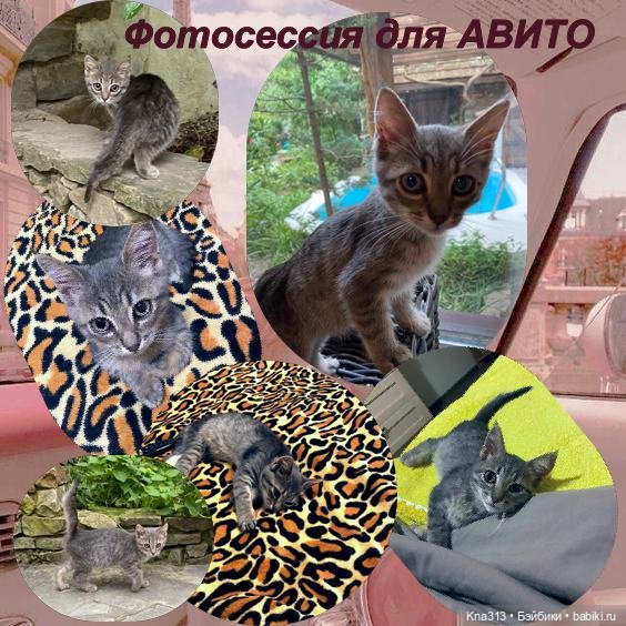 Фотозарисовки из отпуска. Продолжение (фото 8)