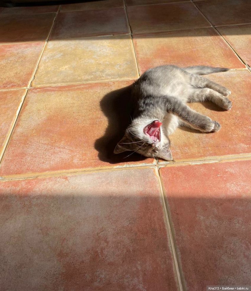 Фотозарисовки из отпуска. Продолжение (фото 9)