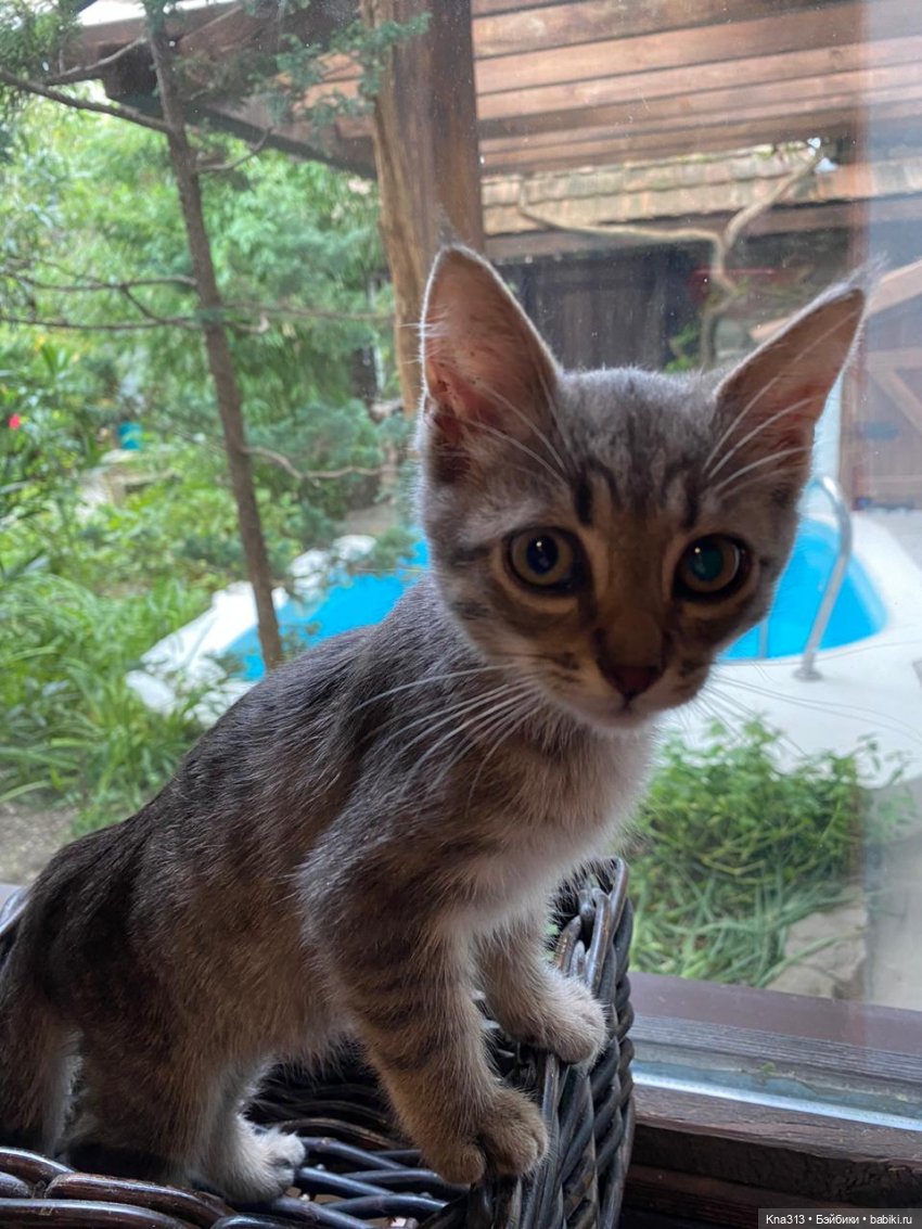 Фотозарисовки из отпуска. Продолжение (фото 7)