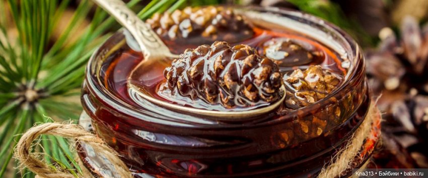 Почти лето? Шишкотопик — Красивая природа и цветы: фото пейзажей