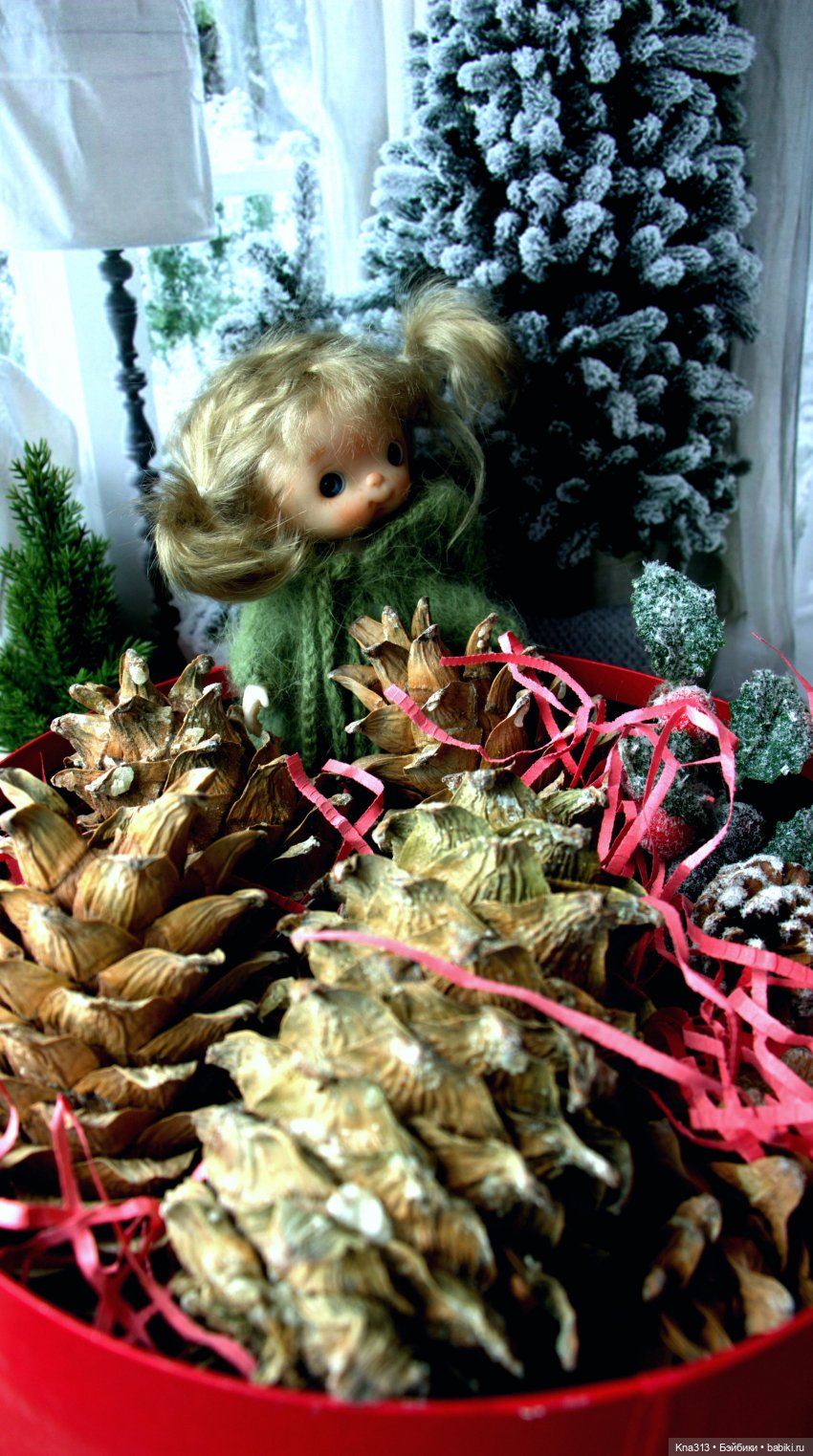 Почти лето? Шишкотопик — Красивая природа и цветы: фото пейзажей (фото 9)