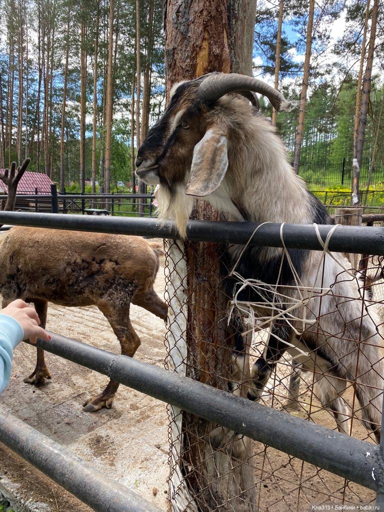 Отпуск Гнома- Майки. Продолжение 2