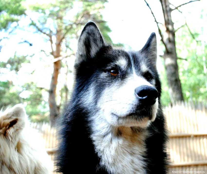 Отпуск Гнома- Майки. Продолжение 2