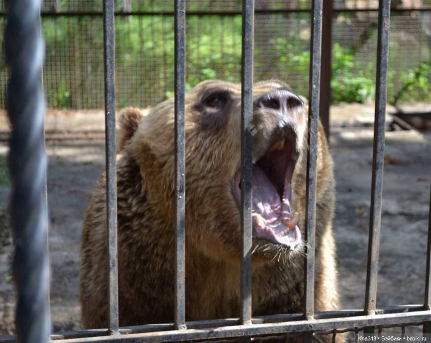 Отпуск Гнома- Майки. Продолжение 2