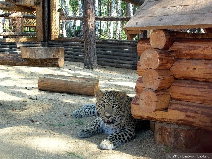 Отпуск Гнома- Майки. Продолжение 2