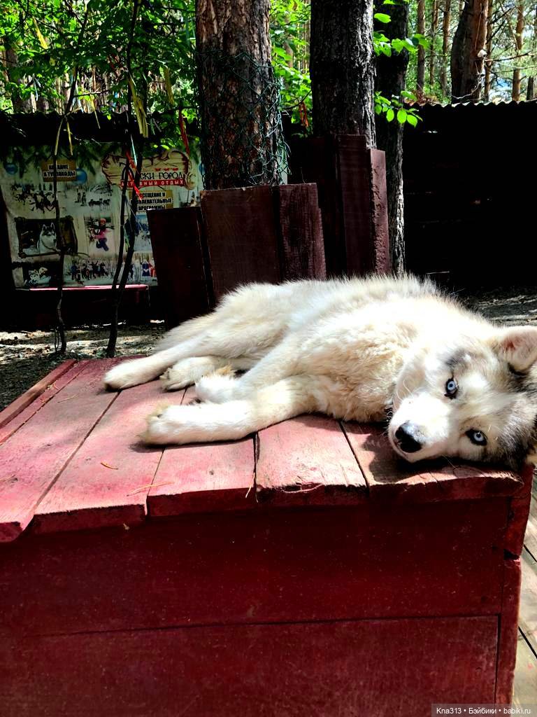 Отпуск Гнома- Майки. Продолжение 2