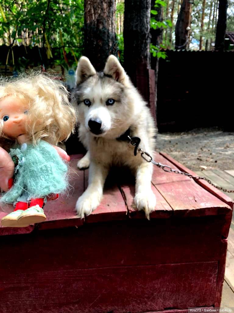 Отпуск Гнома- Майки. Продолжение 2