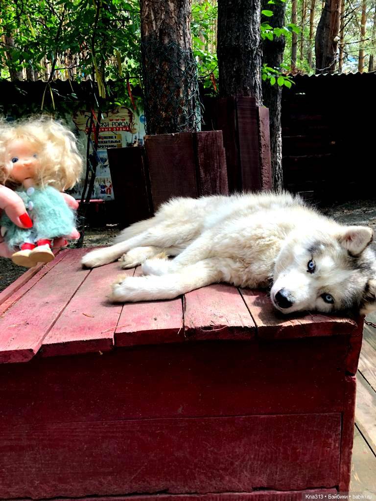 Отпуск Гнома- Майки. Продолжение 2