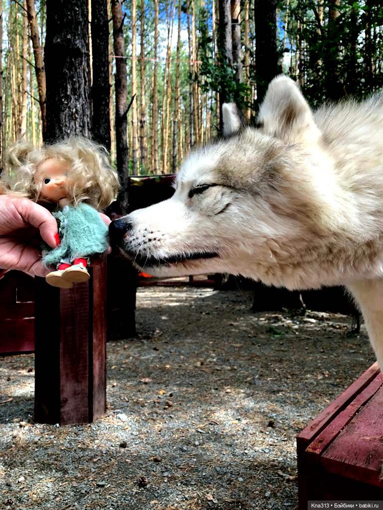 Отпуск Гнома- Майки. Продолжение 2