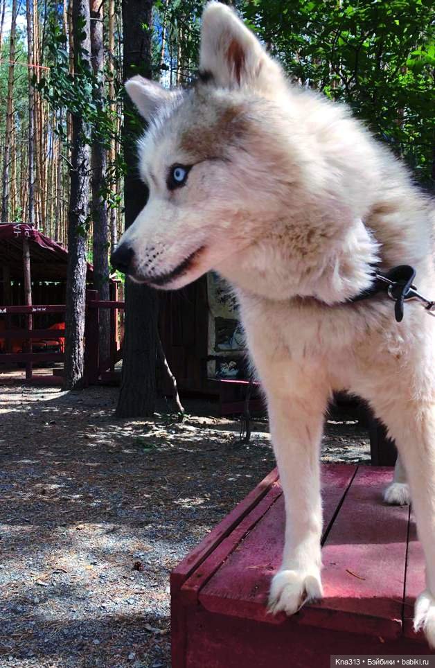 Отпуск Гнома- Майки. Продолжение 2