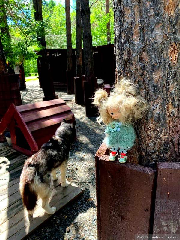 Отпуск Гнома- Майки. Продолжение 2