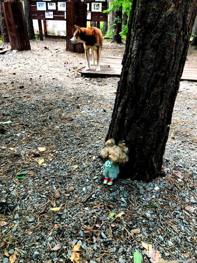 Отпуск Гнома- Майки. Продолжение 2