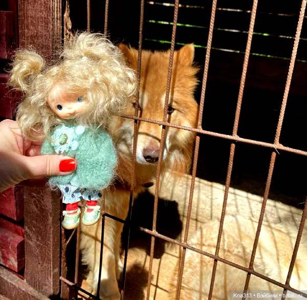 Отпуск Гнома- Майки. Продолжение 2