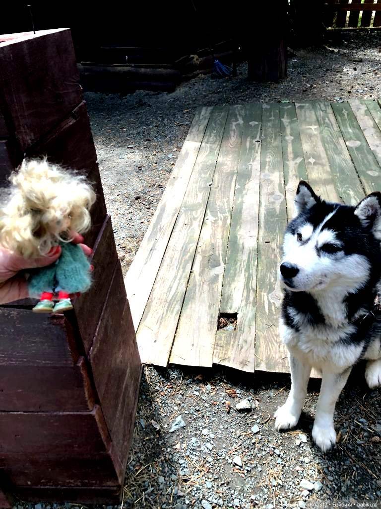 Отпуск Гнома- Майки. Продолжение 2