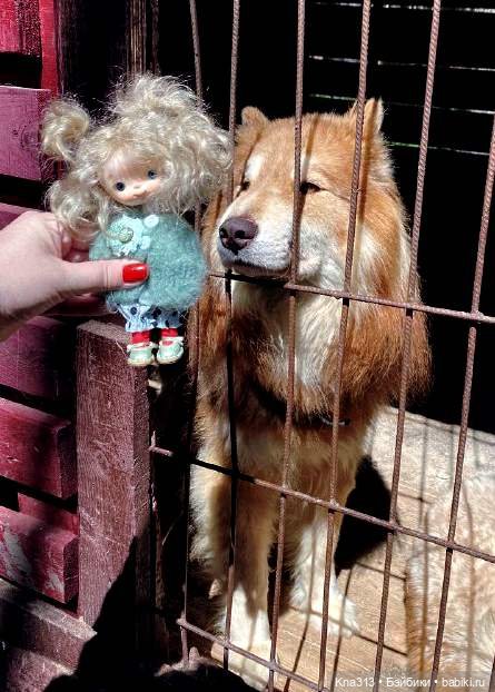 Отпуск Гнома- Майки. Продолжение 2