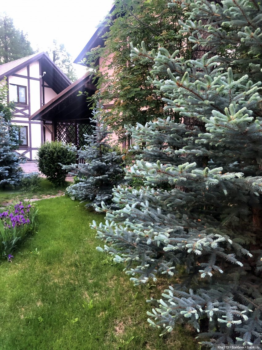 Отпуск Гнома- Майки. Продолжение 2