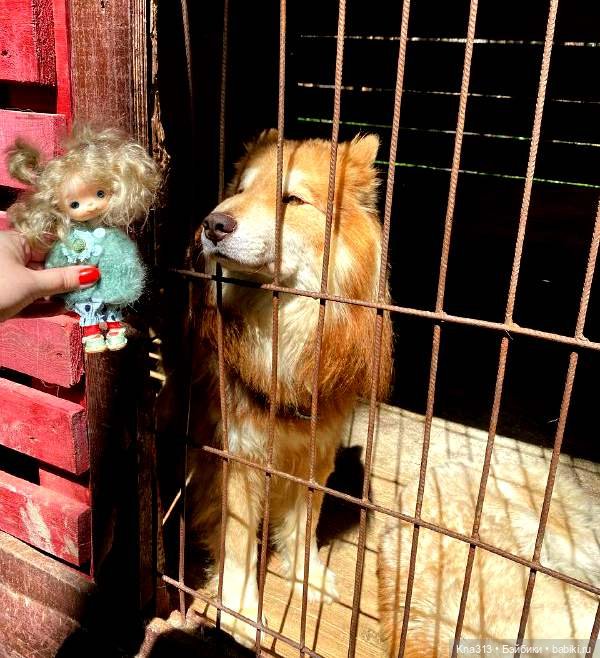 Отпуск Гнома- Майки. Продолжение 2