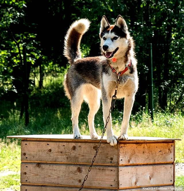 Отпуск Гнома- Майки. Продолжение 2