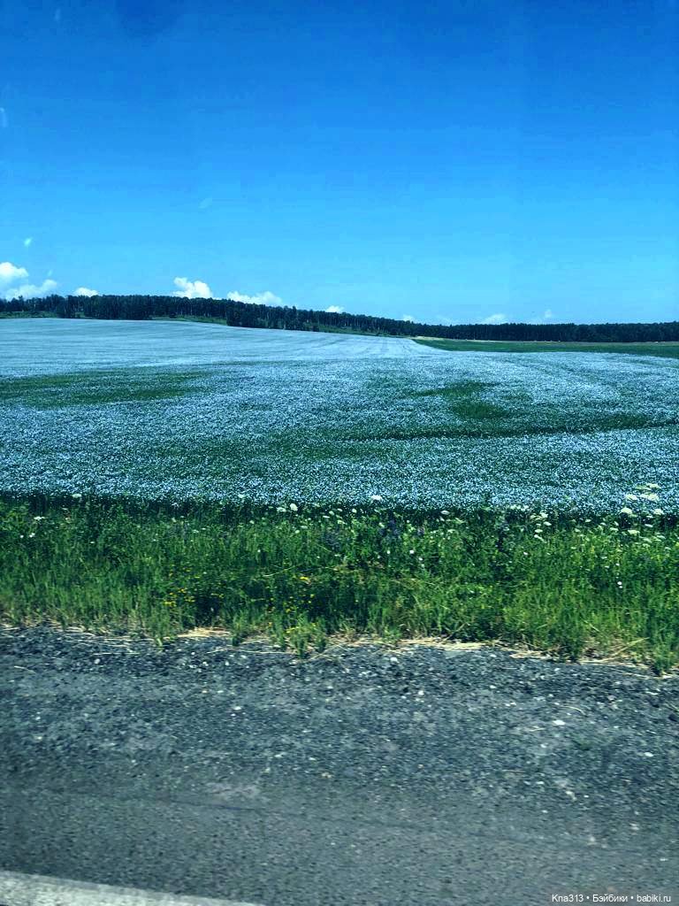 Орешка и лето — Куклы Kaye Wiggs (Кайе Виггс): авторские BJD (БЖД)