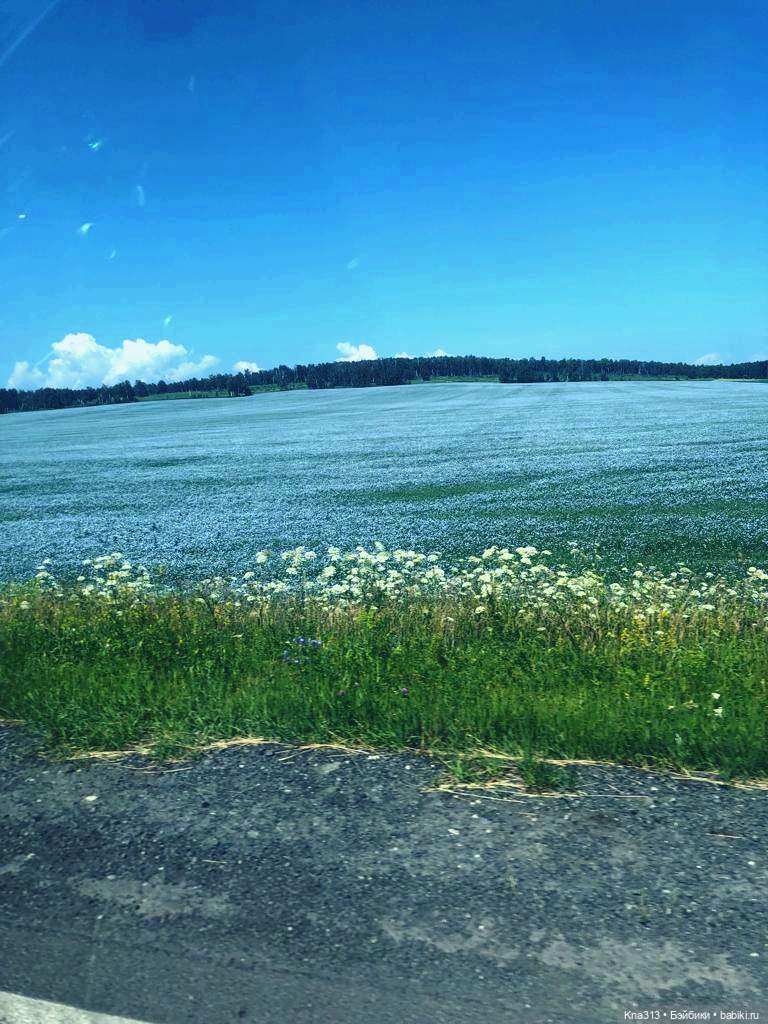 Орешка и лето — Куклы Kaye Wiggs (Кайе Виггс): авторские BJD (БЖД)