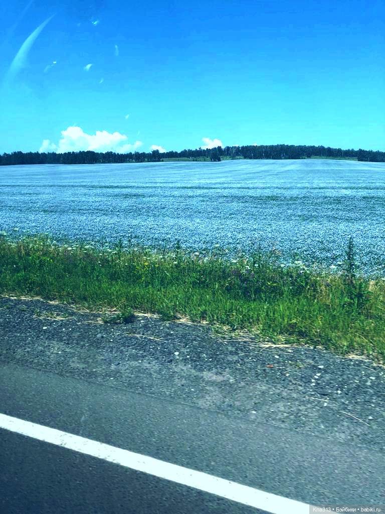 Орешка и лето — Куклы Kaye Wiggs (Кайе Виггс): авторские BJD (БЖД)