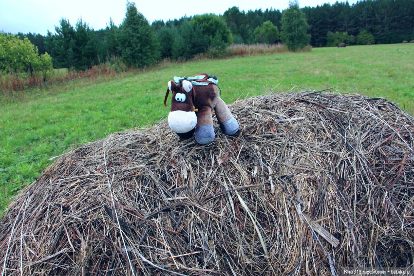 Орешка и лето — Куклы Kaye Wiggs (Кайе Виггс): авторские BJD (БЖД)