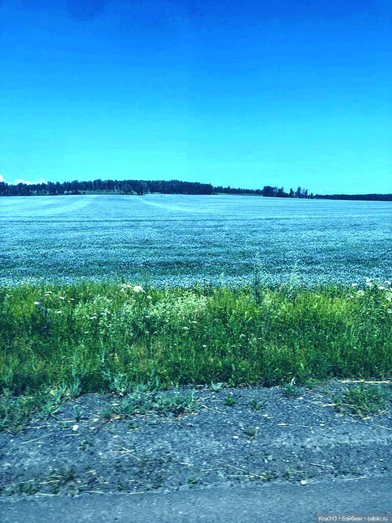 Орешка и лето — Куклы Kaye Wiggs (Кайе Виггс): авторские BJD (БЖД)