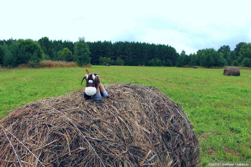 Орешка и лето — Куклы Kaye Wiggs (Кайе Виггс): авторские BJD (БЖД)