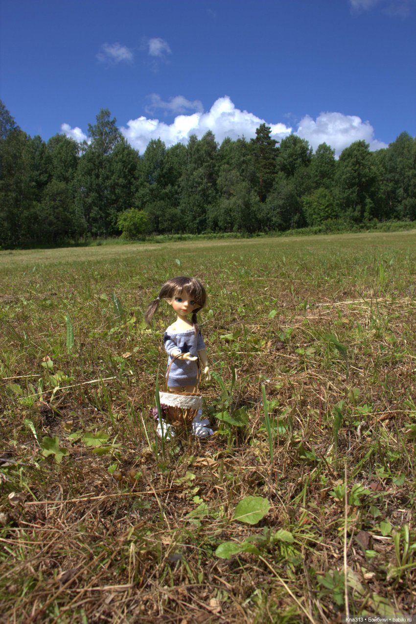 Орешка и лето — Куклы Kaye Wiggs (Кайе Виггс): авторские BJD (БЖД) (фото 8)