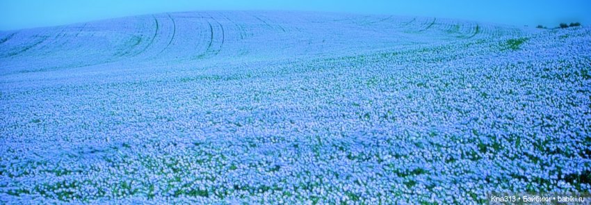 Орешка и лето — Куклы Kaye Wiggs (Кайе Виггс): авторские BJD (БЖД)